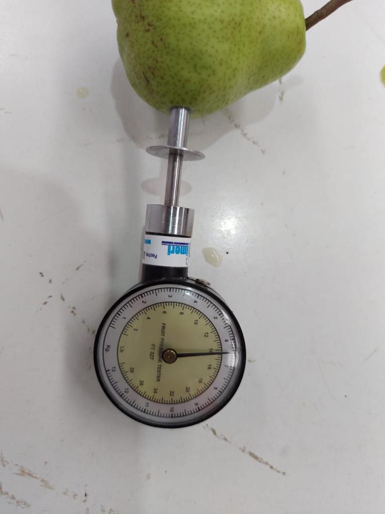 PHOTO-2021-05-25-14-38-13 2